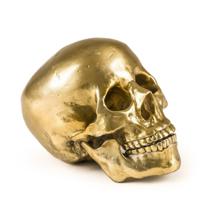 Статуэтка Seletti Статуэтка Wunderkrammer Human Skull арт. 10891