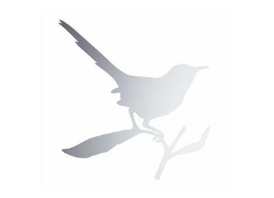 Зеркало Driade Taylor bird