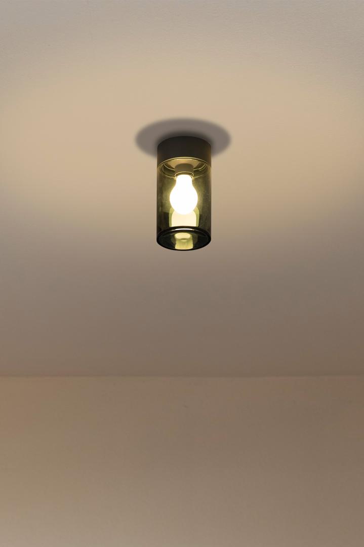 /i/12047699