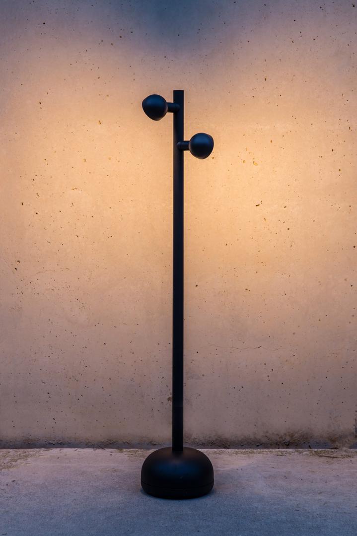 /i/12068884