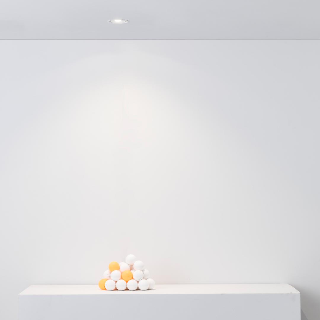/i/12072162