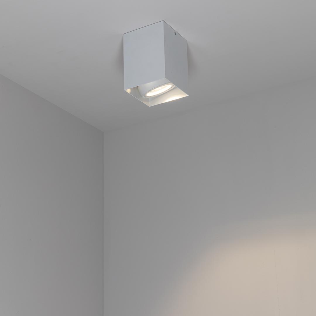 /i/12092641