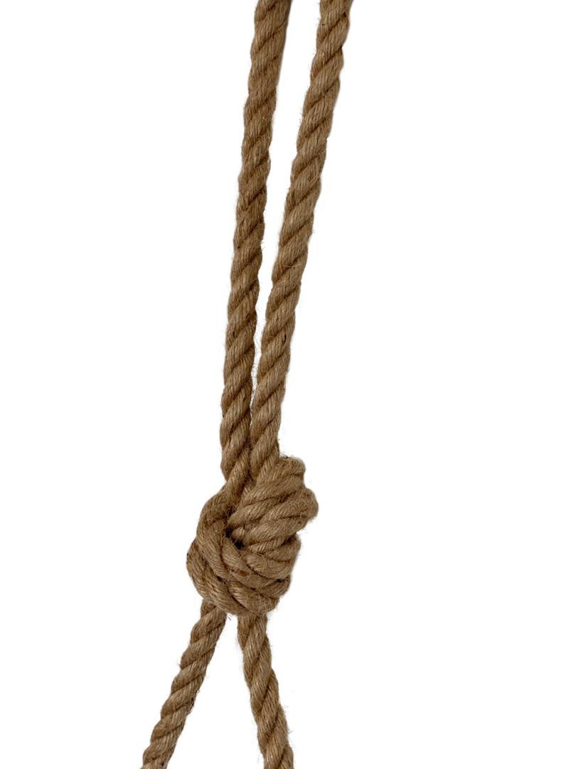 /i/12229945