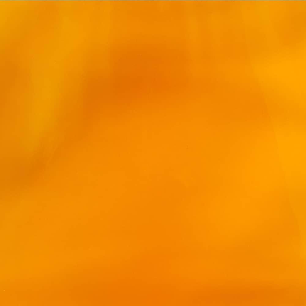 /i/12265095