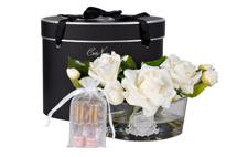 Аромат Garda Decor 96CN-LV01 Диффузор Овал белый (Oval White), спрей Розовый Пион (Pink Peonies) 2x10мл  в уп. арт. 96CN-LV01