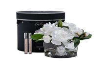 Аромат Garda Decor 96CN-LV100 Диффузор Овал белый (Oval White), спрей Шарантская роза (Charente Rose) 2x10мл  в уп. арт. 96CN-LV100