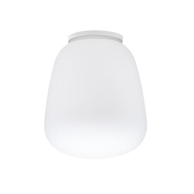 Бра Fabbian  Настенный/Потолочный светильник Lumi Baka d33 арт. F07E0701