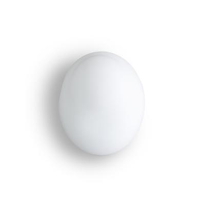 Бра Vistosi Настенный светильник AP CHIC BC BC арт. AP CHIC BC BC