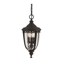 Фонарь Feiss Подвесной фонарь Feiss, Арт. FE-EB8-M-BLK арт. FE-EB8-M-BLK
