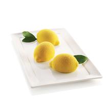 Форма Silikomart Форма силиконовая для приготовления пирожных delizia al limone, 17х30 см арт. 26.261.13.0065