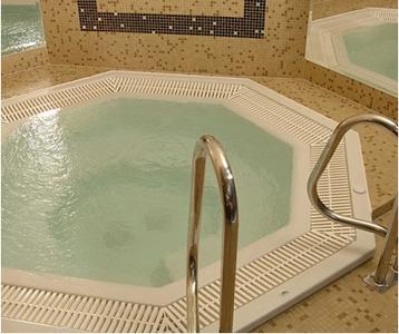 /i/Gidromassazhnaya-vanna-Pool-spa-Octavia-skimmer-b00023860