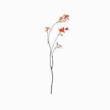 Искусственный декор Autumn высота 59 арт. 2008840502607