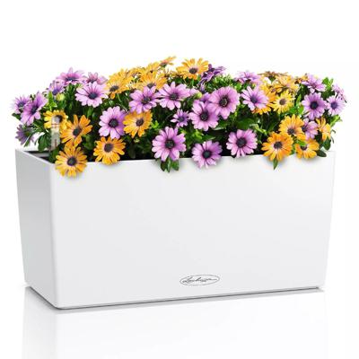 Кашпо Lechuza 15479 Кашпо LECHUZA Балконера Колор 40 Белое с системой полива арт. 15479