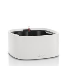 Кашпо Lechuza 15944 Кашпо LECHUZA Пила Колор Гроупот Светло-серое все-в-одном арт. ZN-301376