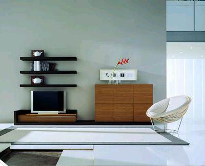 /i/Kompozitsiya-iz-moduley-Pescarollo-Composizione-6-b00042549