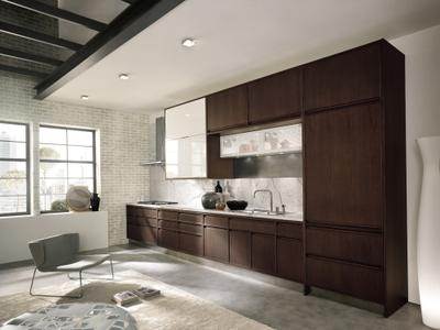 Кухня Aster cucine Timeline