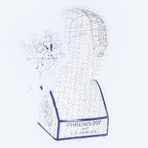 Настольная игра Doiy Пазл phrenology арт. DYPUZZLPH