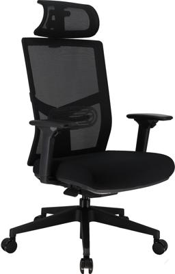 Офисное кресло Everprof Эргономичное кресло Everprof Fuji (Фуджи) Сетка Черный арт. ZN-434133