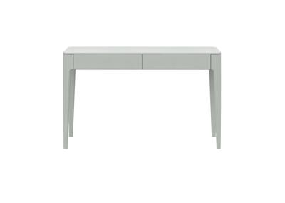 Стол письменный Ellipsefurniture Стол письменный Type oak 120*60 см (белый) арт. TY01391500139