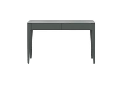 Стол письменный Ellipsefurniture Стол письменный Type oak 120*60 см (темно-серый) арт. TY01391510439