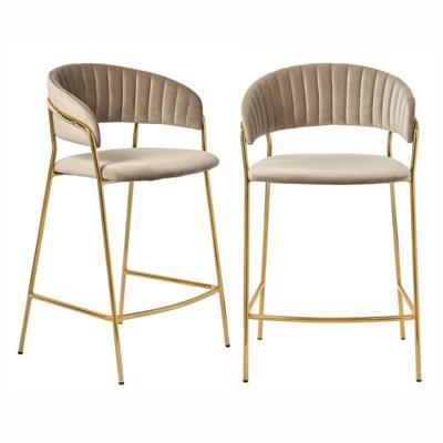 Стул Bradexhome Комплект из 2-х стульев полубарных Turin латте с золотыми ножками арт. FR 0559P