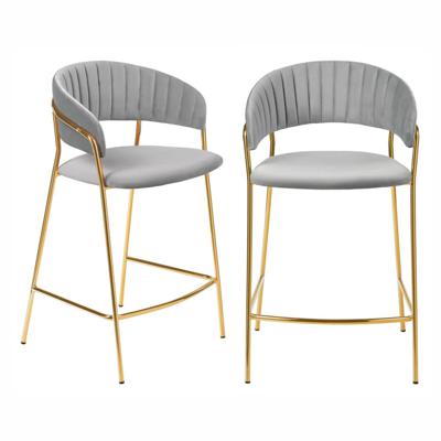 Стул Bradexhome Комплект из 2-х стульев полубарных Turin серый с золотыми ножками арт. FR 0911P