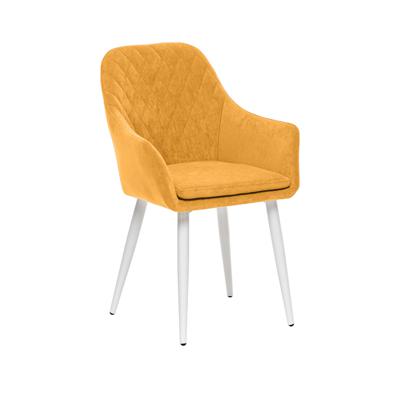 /i/Stul-Mebel-Impex-b11840268