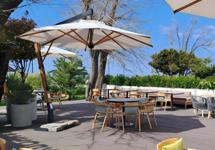 Стул Scolaro арт. 091/3500PABA1N