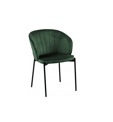 Стул ZiP-mebel Стул Дэвви арт. H191_0119