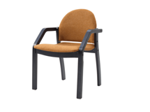 Стул ZiP-mebel Стул-кресло Джуно 2.0 чёрный/карри арт. Z112814B09