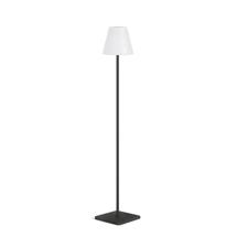 /i/Torsher-LaForma-s12100474