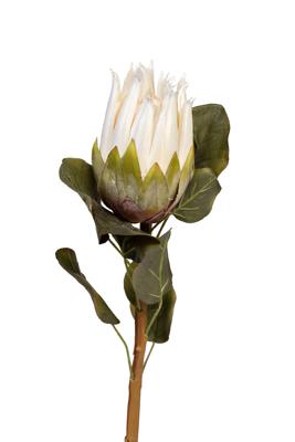 Цветок Garda Decor 9F-28375 Протея белая 68см (24) арт. 9F-28375