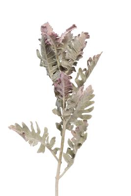 Цветок Garda Decor 9F28508-5459 Цинерария 76см(24) арт. 9F28508-5459