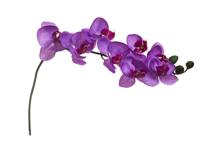 /i/Tsvetok-Garda-Decor-s12233064