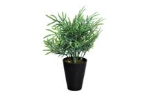 Цветок Garda Decor 8J-18CK0020 Кипарисовик в горшочке 25 см (24) арт. 8J-18CK0020