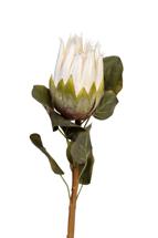 Цветок Garda Decor 9F-28375 Протея белая 68см (24) арт. 9F-28375