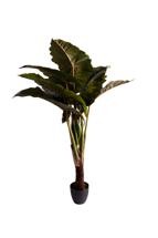 Цветок Garda Decor 29BJ-820-155 Колоказия искусственная в горшке h155см арт. 29BJ-820-155