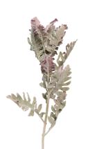 Цветок Garda Decor 9F28508-5459 Цинерария 76см(24) арт. 9F28508-5459