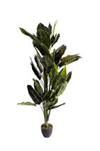 Цветок Garda Decor 29BJ-819-170 Диффенбахия искусственная в горшке h170см арт. 29BJ-819-170