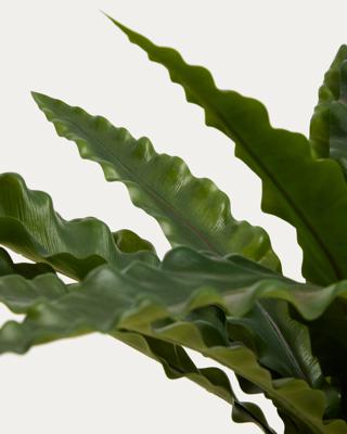 Цветок La Forma (ех Julia Grup) Искусственное растение Neottopteris в белом горшке 70 см арт. 483355