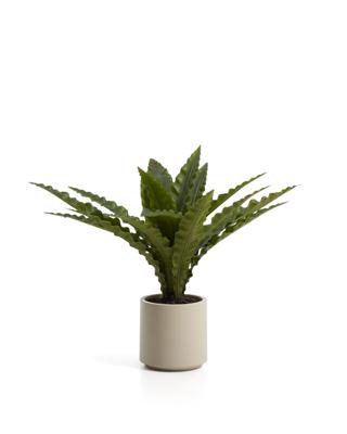 Цветок La Forma (ех Julia Grup) Искусственное растение Neottopteris в белом горшке 70 см арт. 483355