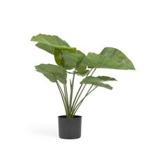 Цветок La Forma (ех Julia Grup) Искусственное растение Alocasia пахучая с черным горшком 57 см арт. 114621