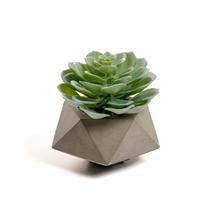 Цветок La Forma (ех Julia Grup) Flower Искусственное растение Echeveria glauca в цементном горшке арт. 072457