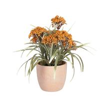 Цветок La Forma (ех Julia Grup) Полевой цветок в керамическом горшке Flower арт. 089925