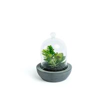 Цветок La Forma (ех Julia Grup) Flower Искусственный суккулент в стеклянном горшке арт. 068866