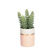 Цветок La Forma (ех Julia Grup) Flower Искусственное растение Sedum lucidum в розовом керамическом горшке арт. 089921