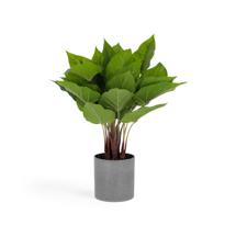Цветок La Forma (ех Julia Grup) Flower Искусственный антуриум 45см арт. 081760