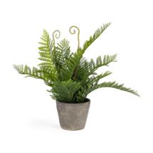 Цветок La Forma (ех Julia Grup) Flower Искусственный папоротник в горшке из цемента 35см арт. 081754