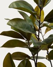 Цветок La Forma (ех Julia Grup) Искусственное растение Magnolia в белом горшке, 160 см арт. 483319