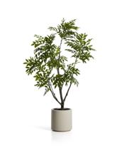 Цветок La Forma (ех Julia Grup) Искусственное дерево Rhus в белом горшке, 185 см арт. 482457